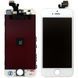 Дисплей Apple iPhone 5 + тачскрин Распродажа (белый AAAA) 153052 фото